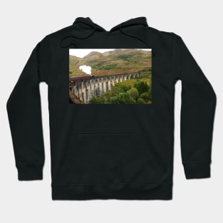 The Aqueduct Hoodie